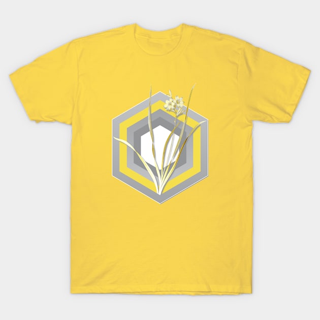 Botanical Illustration Gladiolus Lineatus in Gray and Yellow T-Shirt by Holy Rock Design